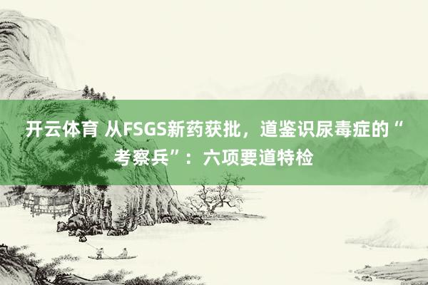 开云体育 从FSGS新药获批，道鉴识尿毒症的“考察兵”：六项要道特检