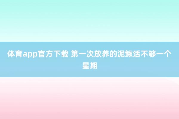体育app官方下载 第一次放养的泥鳅活不够一个星期
