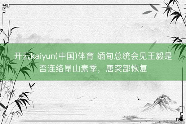 开云kaiyun(中国)体育 缅甸总统会见王毅是否连络昂山素季，唐突部恢复